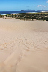 Sand dunes in Joaquina Beach - Florianopolis, Santa Catarina, South Brazil