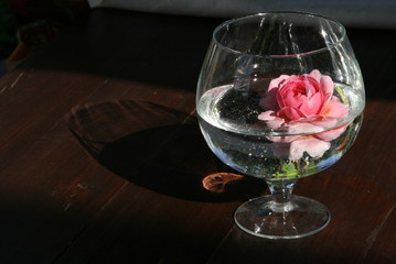 glass of wine and flowers on table