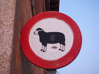 Wild sheep yellow warning sign with cockroach sticker in the early morning on the road, Camino de...