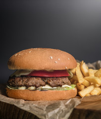 craft burger and fries. fastfood.