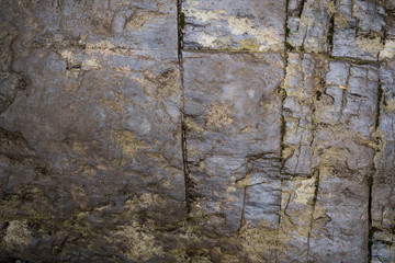 Texture of wet stone covered with moss. Background image of macro photography texture stone