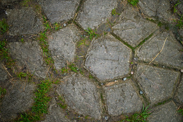 Texture of paving slabs overgrown with grass. Background image of a stratum stone
