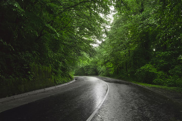 Road through forest. Rain. Overcast.