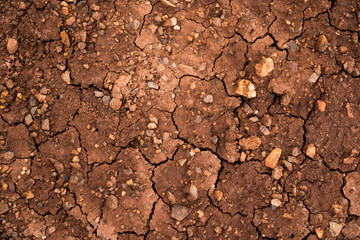 Texture of dried cracked clay. Macro background image of dried clay