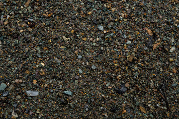The texture of a shallow river stone. Pebble Background Image