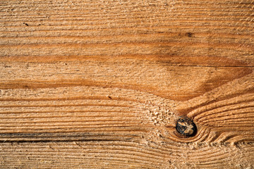 Fototapeta premium Texture of old wood. Background image. Macro photo