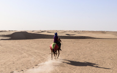 Bedouin on horseback