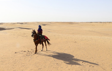 Bedouin on horseback