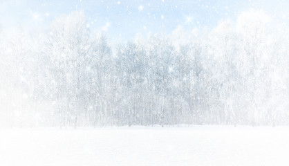 Strong blizzard in a birch grove. Winter abstract landscape. Background from falling snow. Panoramic image.