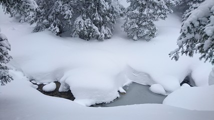snow covered creek