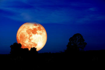 Fototapeta na wymiar wolf blood moon back on silhouette mountain hill and night sky