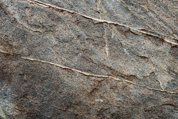 The texture of the stone overgrown with moss. Background image of a boulder