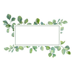 Watercolor hand painted greenery plants and nature eco design frame. Floral branches and leaves silver dollar eucalyptus and garden plants. Illustration for design, banner, greeting card.