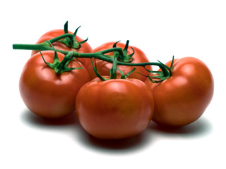 Graphic resources isolated object vegetable tomato