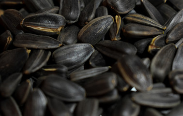 sunflower seeds