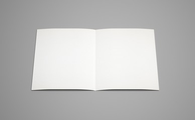 3d rendering A3 white brochure folded mockup grey background 