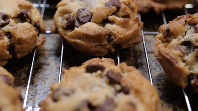 Panning over a tray of freshly baked chocolate chip cookies. Homemade cookies on baking rack.