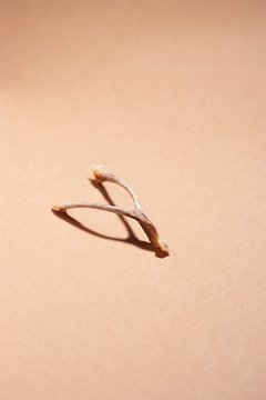 Wishbone Isolated Over Brown Background