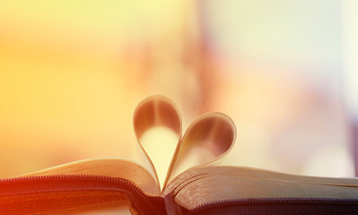 Open book with heart shaped pages. Love for reading. Isolated                                    