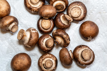 close up fresh mushrooms 