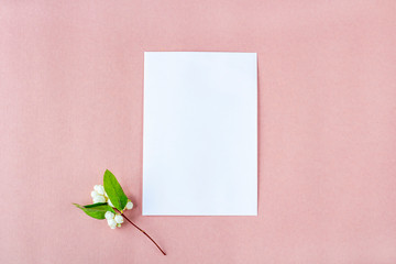 Invitation card mockup. Template blank greeting card to the wedding, birthday and other events. Paper on peach color background with white flowers. Concept of writing romantic  for Valentines day © Elena