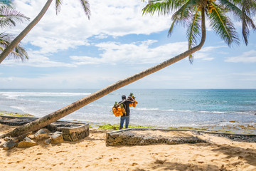 A man selling coconuts and pineapples on the beach, Hikkaduwa, Sri Lank