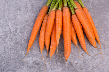 Fresh carrots on a grey background, close up