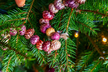 A natural Christmas garland of Helichrysum on a fir tree