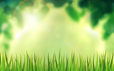 Fototapeta na wymiar Grass on a green natural background