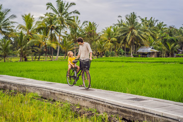 Father and son ride a bicycle on a rice field in Ubud, Bali. Travel to Bali with kids concept