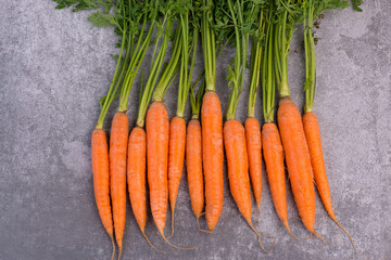 Fresh carrots on a grey background, close up