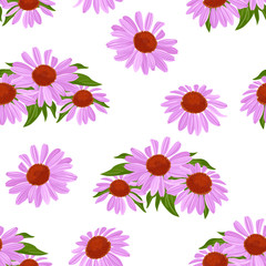 Purple flowers and green leaves seamless pattern. Blooming echinacea isolated on white background. Vector floral illustration in cartoon simple flat style.