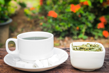 Stevia
