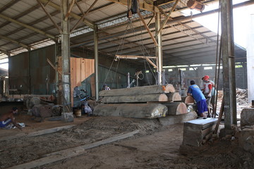 Wood factory workshop sawmill bangkirai production indonesia