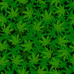 Naklejka na ściany i meble Marihuana hemp green grass background seamless patterns. Pattern for fabric, background, gift paper, wallpaper.