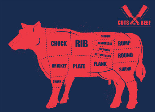 Cuts of beef. Poster Butcher diagram - Cow. Vintage typographic hand-drawn. Vector illustration. Red hand drawn image.