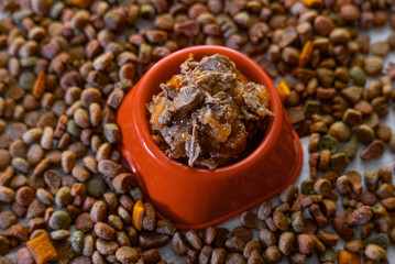 Natural wet pet food in a red or orange plastic bowl