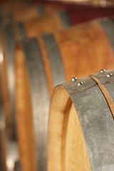 Wine Casks In Cellar
