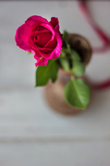 Fototapeta premium Beautiful purple rose bud. One rose.