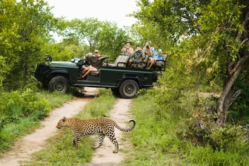 Tuinposter Leopard Crossing Road With Tourists In Background © moodboard