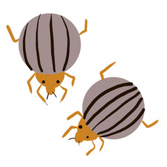 snail vector illustration of cartoon cockroach