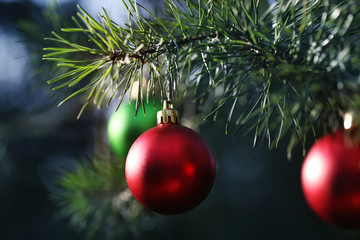Obraz na płótnie Canvas Red Christmas ornaments on pine branches.