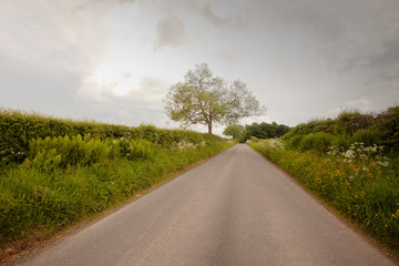 An ashpalt road in south Scotland
