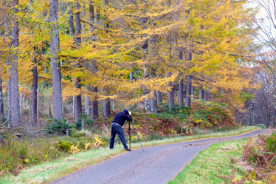 A road cuts through a lovley autumn landscape