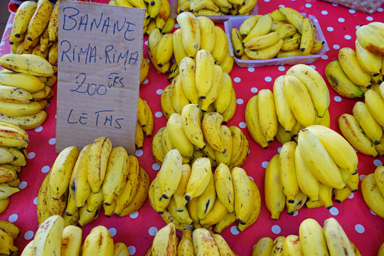 Small baby yellow bananas for sale in Tahiti