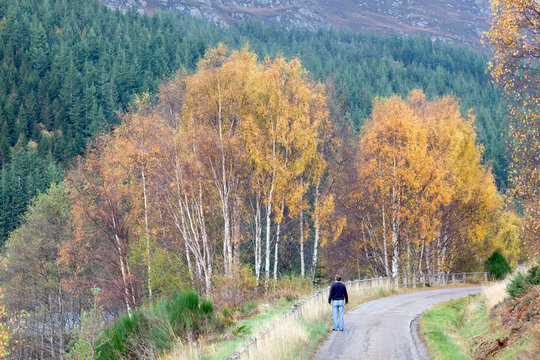 A tourist enjoys the autumn scenery