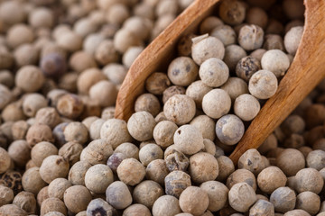 white peppercorns seed on white acrylic background