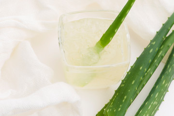 Glassware with fresh aloe vera juice and leaves