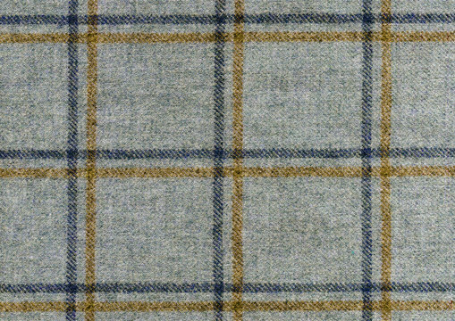 Blue and Mustard color over check on grey woolen fabric. Pastel tones. Country windowpane tweed riding jacket. Shetland wool. High resolution