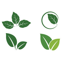 Naklejka premium Set Leaf Mint Logo Template vector symbol